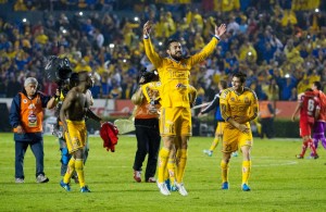 TIGRES A LA FINAL