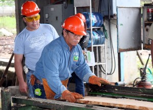 trabajadores