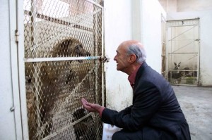 FERNANDO ELIZONDO HABLANDO AL TU POR TU CON LOS PERROS