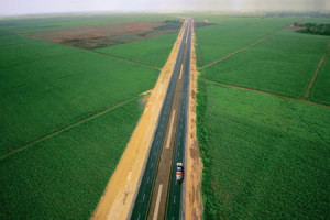 RECONOCEN A CEMEX POR MEDIO AMBIENTE