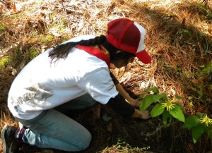 VOLUNTARIOS FEMSA