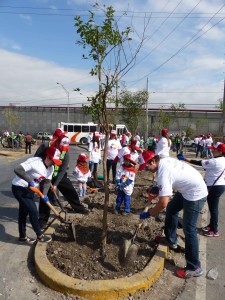 MONTERREY VERDE 2