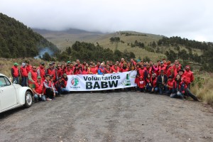 heineken-voluntarios-en-pico-de-orizaba